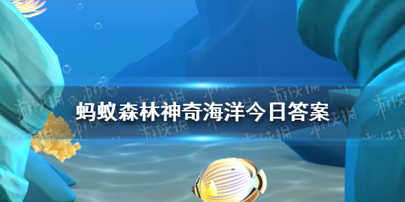 鱿鱼属不属于海洋鱼类 神奇海洋今日答案11.14最新