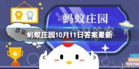 小鸡宝宝考考你魔芋真的是低热量食物吗？
