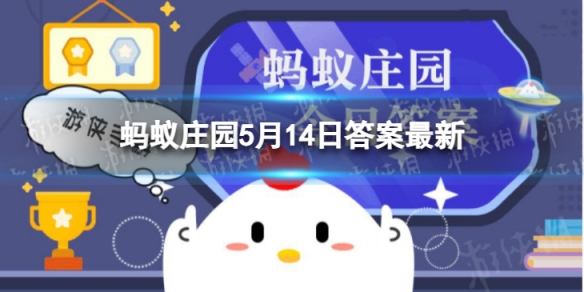 盲道是什么形状凸起 盲道蚂蚁庄园5.14答案最新