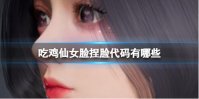 吃鸡仙女脸捏脸代码有哪些 和平精英仙女脸捏脸代码分享
