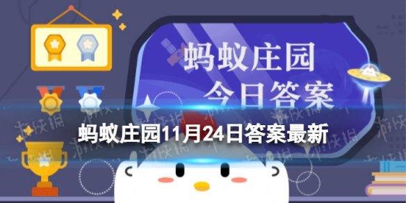 新鲜银杏叶泡水喝降血压蚂蚁庄园 银杏叶泡水降血压