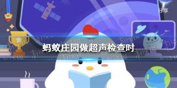 蚂蚁庄园今日答案做超声检查时 小鸡庄园课堂今日答案4.9
