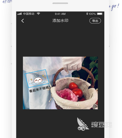 修图软件哪个比较好用 热门修图软件app大全
