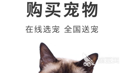 2022卖宠物的app有哪些 卖宠物的app最新合集