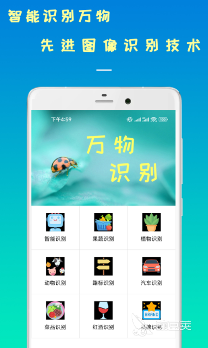 精品拍照识谱软件有哪些 好用的拍照识谱app排行榜