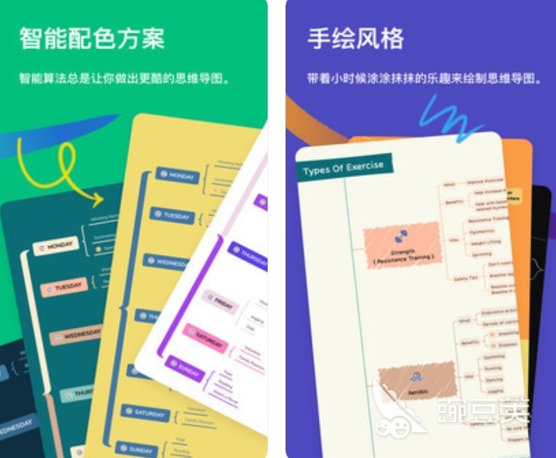 做家谱用的软件哪个好 家谱用什么软件做