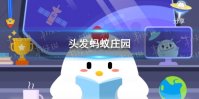头发蚂蚁庄园 今日小鸡庄园答题的答案2021年3月22日