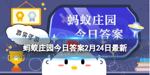 蚂蚁庄园诸葛菜 民间俗称诸葛菜的春季常见植物其实是