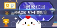 蚂蚁庄园脍炙原本指的是 蚂蚁庄园今日答案最新1月16日