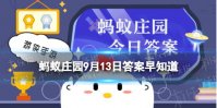 蚂蚁庄园仙人掌 仙人掌的尖刺其实是它的叶还是根