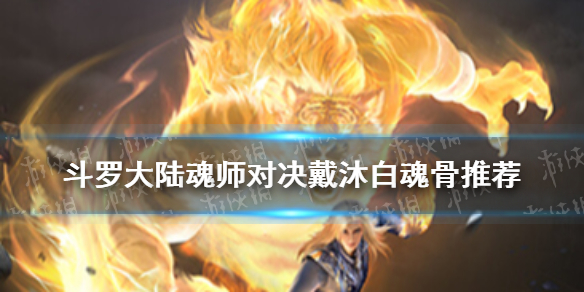 《斗罗大陆魂师对决》戴沐白魂骨选择 戴沐白魂骨推荐