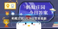 棉花是花吗 蚂蚁庄园今日答案7月29日