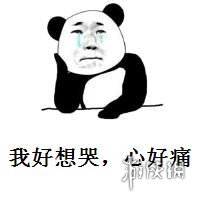 累觉不爱下一句是什么 累觉不爱图片汇总