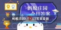 猪很笨吗 蚂蚁庄园猪笨吗8.12