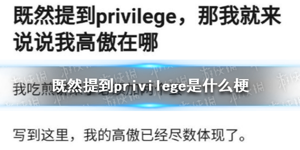既然提到privilege是什么梗 我的高傲已经尽数体现意思解析