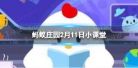 洋葱是根还是茎 蚂蚁庄园洋葱