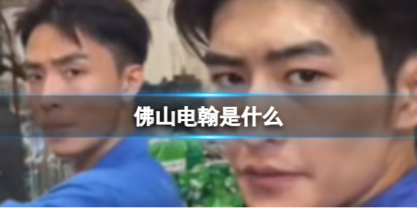 佛山电翰是什么 佛山电翰梗介绍