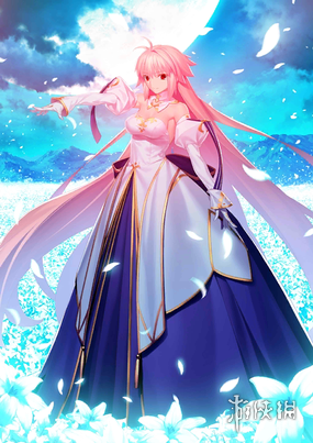 《FGO》爱尔奎特从者图鉴 7周年五星从者地球姬技能宝具立绘卡面
