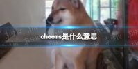 cheems狗 cheems是什么意思