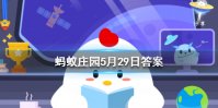 一个成年人每天掉多少根头发属于正常现象 蚂蚁庄园今日答案5月29日