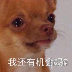您看我还有机会吗表情包 您看我还有机会吗表情包大全