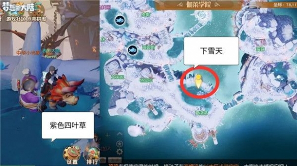 《梦想新大陆》彩蛋四叶草 隐藏任务四叶草攻略