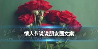 情人节祝福语 情人节说说朋友圈文案推荐