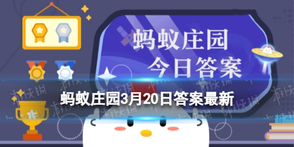 晓看红湿处花重锦官城是哪个城市呢 蚂蚁庄园锦官城是哪个城市