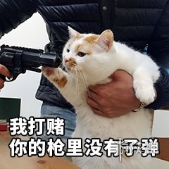 我赌你的枪里没有子弹是什么梗 我赌你的枪里没有子弹是什么电视剧