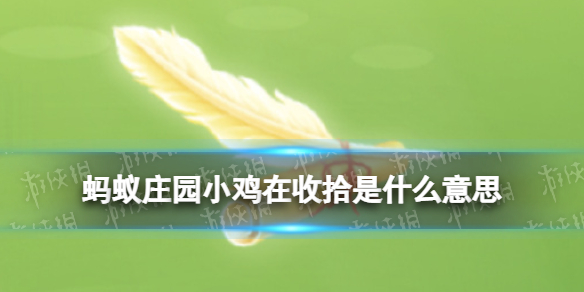 蚂蚁庄园小鸡在收拾是什么意思 蚂蚁庄园小鸡在收拾不见了