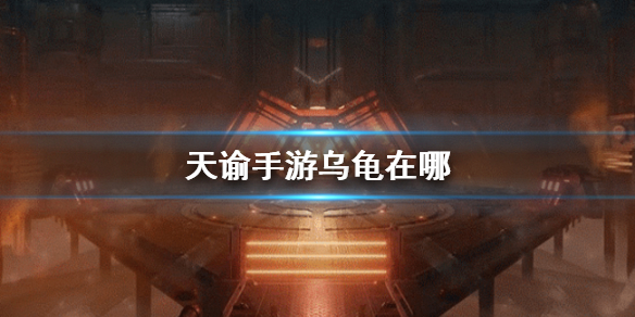 《天谕手游》乌龟在哪 寻龟之旅任务攻略