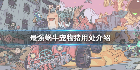 《最强蜗牛》宠物猪有什么用 宠物猪用处介绍