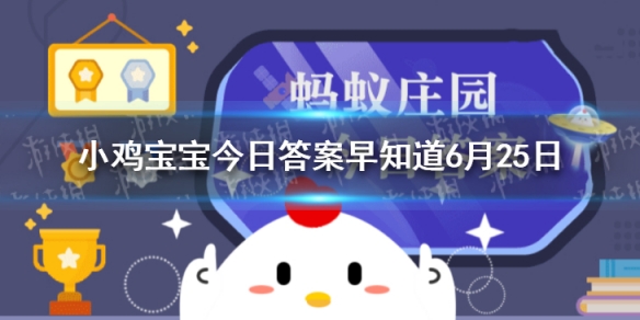 苏轼因为什么水果“不辞长作岭南人”  小鸡宝宝今日答案早知道6月25日
