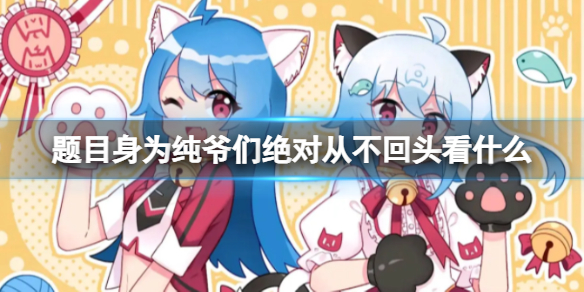 身为纯爷们绝对从不回头看什么 B站硬核会员答题汇总答案