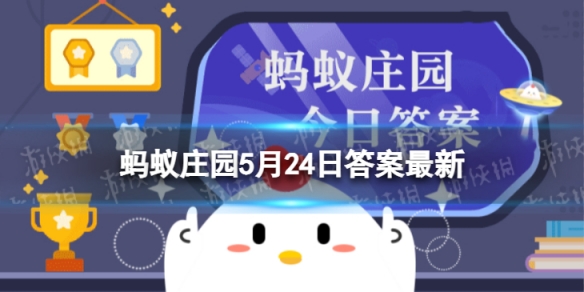 猜一猜：油麦菜和以下哪种蔬菜是“亲戚” 蚂蚁庄园5月24日答案最新