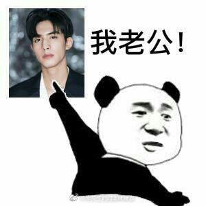 宋威龙表情包汇总 下一站是幸福宋威龙元宋表情包大全一览