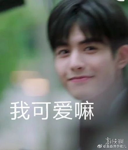 宋威龙表情包汇总 下一站是幸福宋威龙元宋表情包大全一览