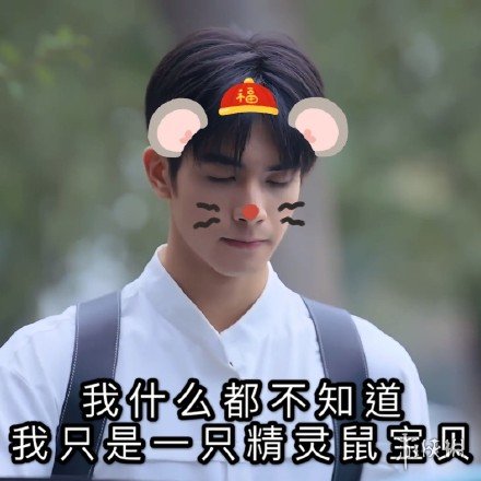 宋威龙表情包汇总 下一站是幸福宋威龙元宋表情包大全一览