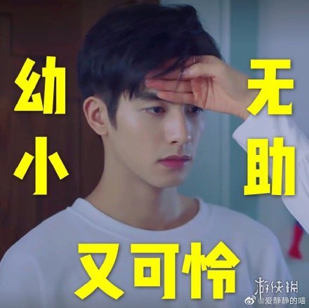 宋威龙表情包汇总 下一站是幸福宋威龙元宋表情包大全一览