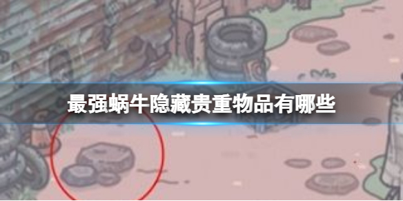 最强蜗牛隐藏贵重物品有哪些