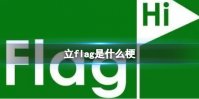 立flag是什么梗