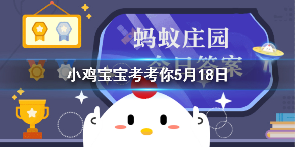 岁寒三友应当出现的植物 岁寒三友图蚂蚁庄园