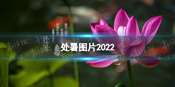 处暑图片2022 处暑图片大全高清唯美带字