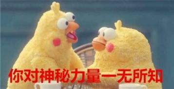 你对力量一无所有知表情包 你对力量一无所有知出处