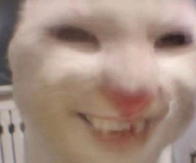 抖音玉米几什么梗