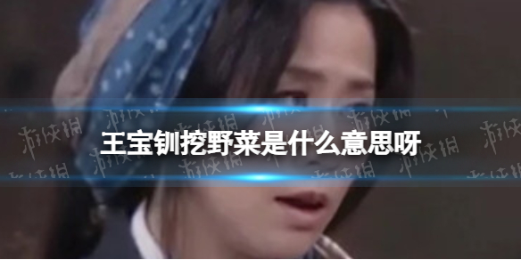 王宝钏挖野菜是什么意思呀 王宝钏挖野菜意思介绍