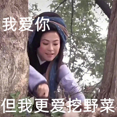 王宝钏挖野菜是什么意思呀 王宝钏挖野菜意思介绍