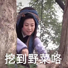 王宝钏挖野菜是什么意思呀 王宝钏挖野菜意思介绍