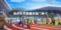 《我的世界手游》裸露末地门种子 特殊种子推荐