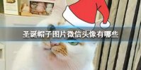 圣诞帽子图片微信头像有哪些 圣诞帽子图片微信头像大全